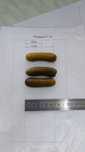 IMG 20260415 125611.jpg