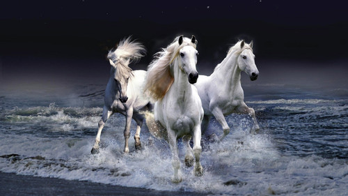 white horses wallpaper 1366x768