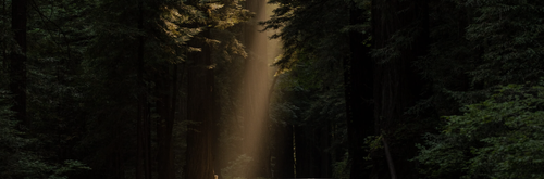6a02ac5700f3.png