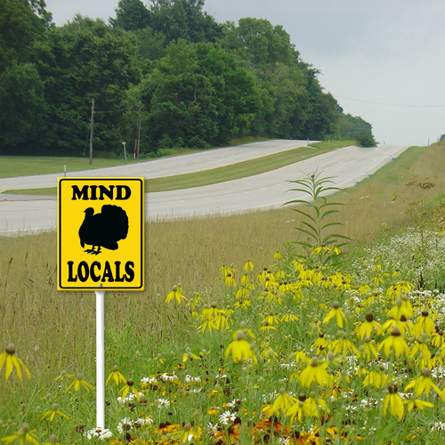 local3 50.png