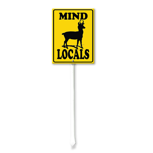 local4.png