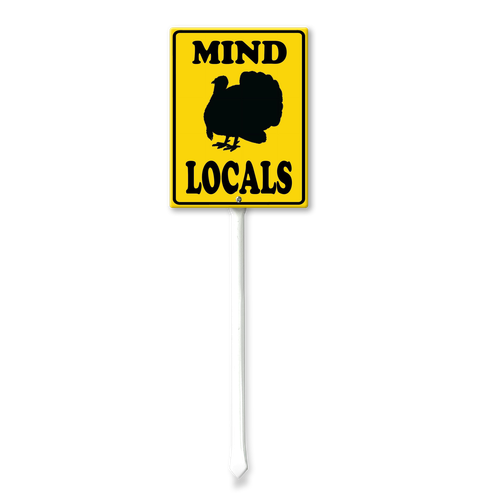 local3.png