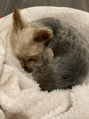 IMG 7229.jpg