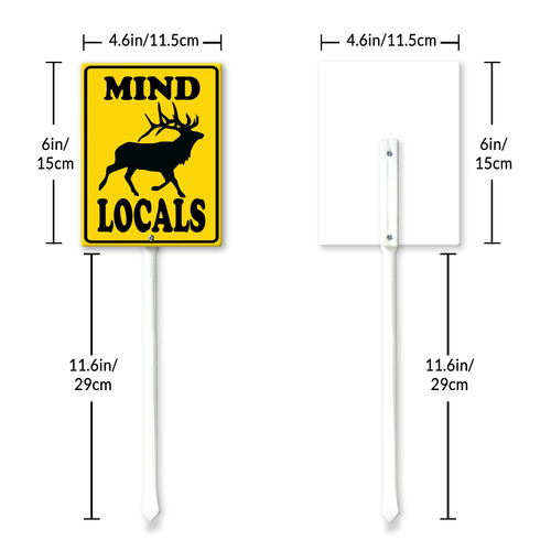 local1 11.png