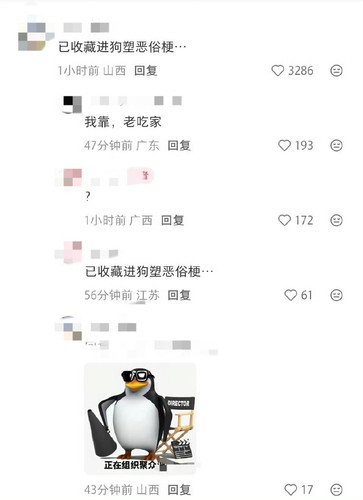 76305.jpg