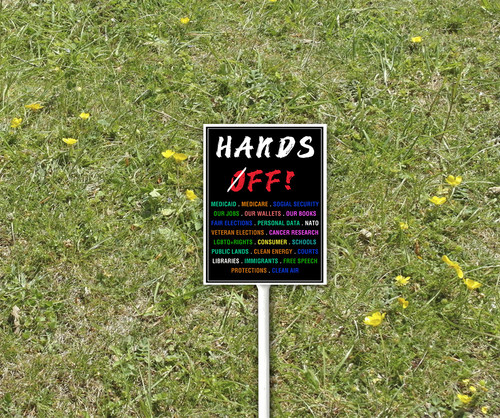yard 2 1.jpg