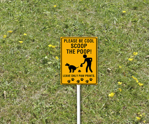 yard 2 2.jpg