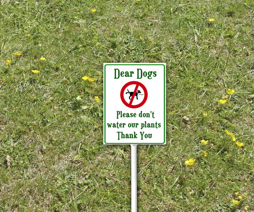 yard 2 3.jpg