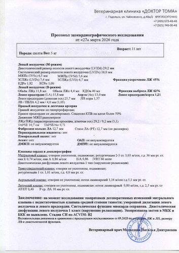 эхо 27.03.26 (1).jpg