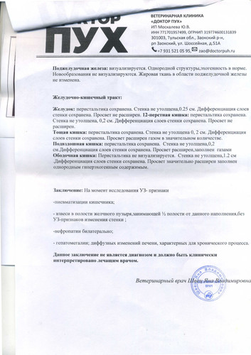 УЗИ брюшной полости 17.03.26 (1) (3).jpg