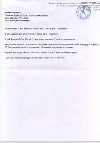 эхо 27.03.26 (3).jpg