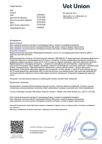 гистология (1).jpg