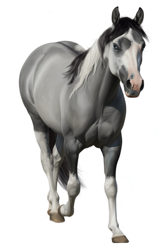 Untitled39 20260507203235.png
