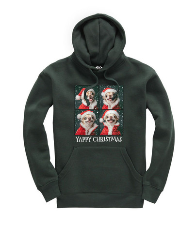 c642 yappy christmas+CL018BTL.jpg