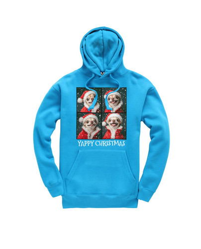 c642 yappy christmas+CL018SAP.jpg