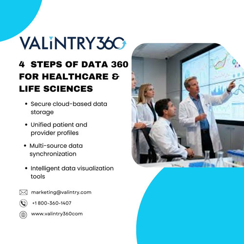 4  Steps of Data 360 for Healthcare & Life Sciences.jpg