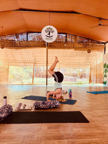 When exploring advanced yoga education, many aspiring instructors and dedicated practitioners carefully research 300 hour Yoga Teacher Training in Goa Fees to understand what is included in the overall investment and how different schools structure their programs. Goa has become one of the most sought-after destinations for advanced yoga certification because of its peaceful beaches, tropical environment, international yoga community, and experienced teachers who offer traditional as well as modern yoga practices.

visit:- https://divinepathretreat.com/yoga-teacher-training/goa/300-hour/
