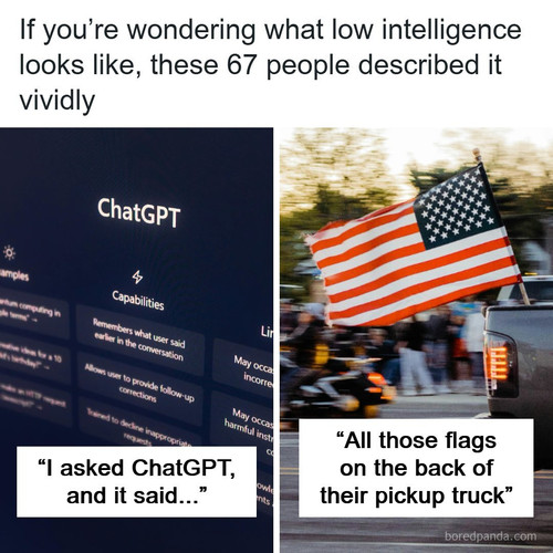 low intelligence.jpg