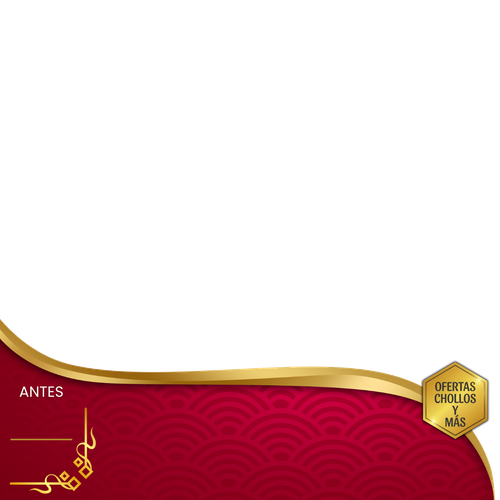(Lote 1) ANTES (1240 x 1240 px) (1).png