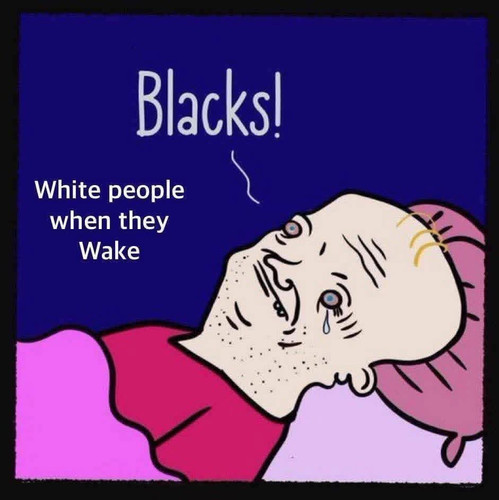 690616214 26938564299093489 6186589672614850350 n.jpg