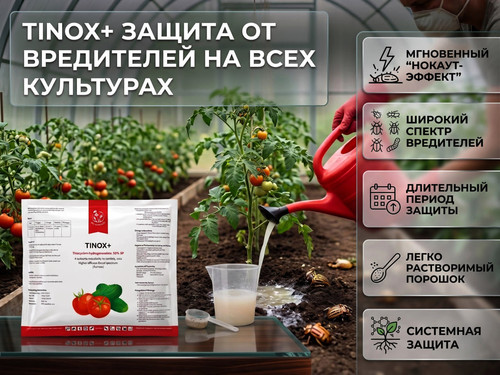 tinox 2 результат результат.jpg