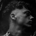 b31ff402323c.png