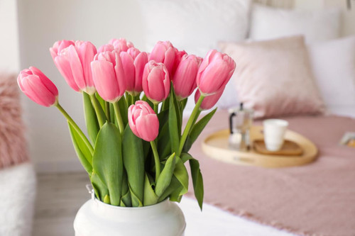 tulipanes.jpg