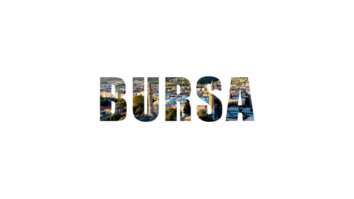 bursa.png