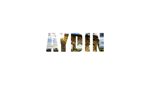 aydın.png