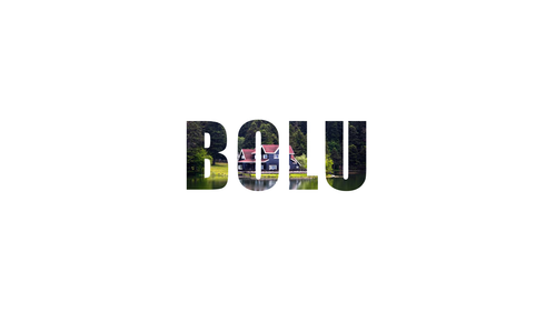 bolu.png