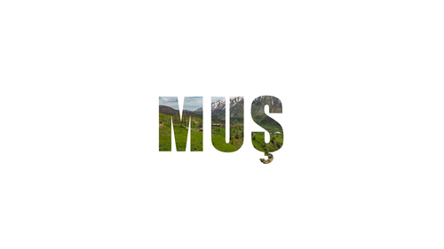 muş.png