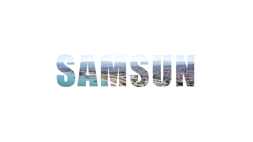 samsun.png