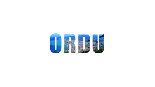 ordu.png