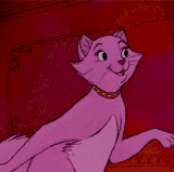 giphy(5).gif