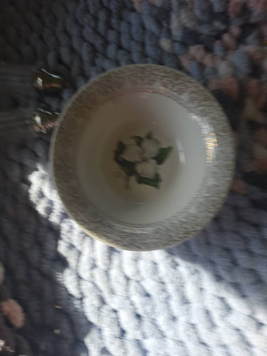 2e26e2f0f022.jpg