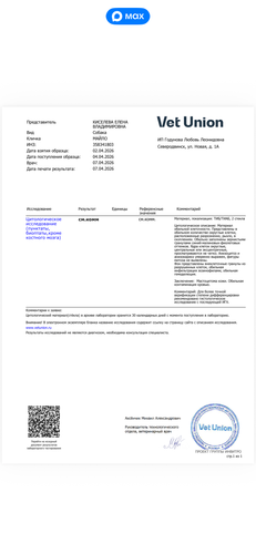 IMG 6624.png