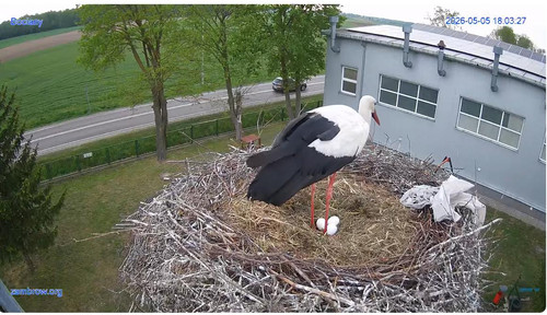 MWSnap265.jpg