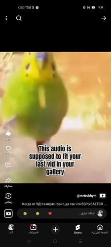 Screenshot ٢٠٢٦ ٠٥ ٠٥ ٢١ ١٤ ١٧ ٤٦ f9ee0578fe1cc94de7482bd41accb329.jpg