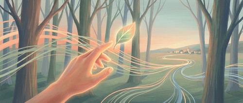 cover.jpg