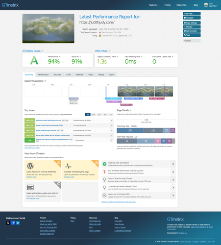screencapture gtmetrix reports judithjudy com flpbeHAP 2026 05 06 10 11 09 (1).png