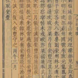 IMG 9136.png
