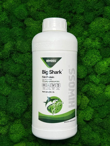 big shark результат.jpg