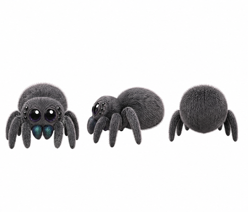 graysouider.png