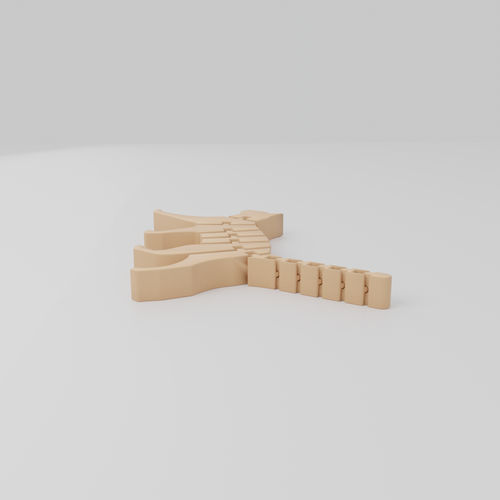 FLEXI CAT 001 2 front.png