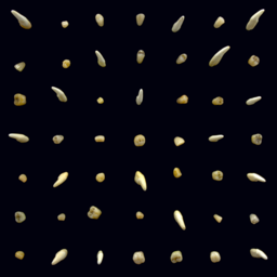 56e492707b14.png