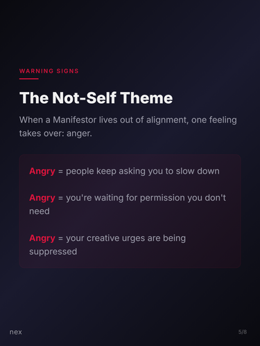 slide 05.png