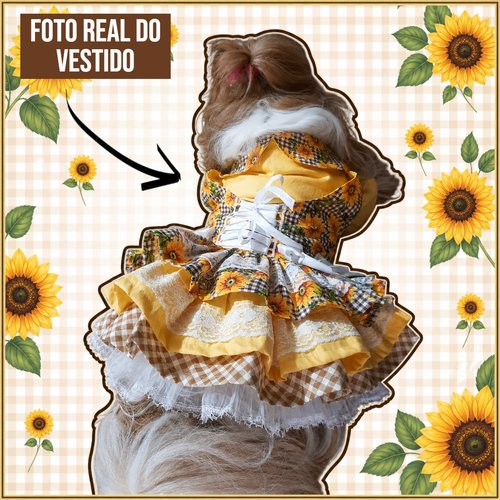 Foto Real do Vestido.png