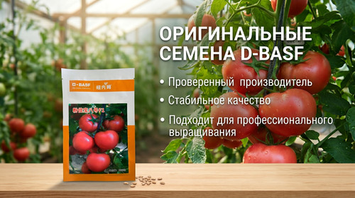 Gemini Generated Image ranjiwranjiwranj результат.jpg