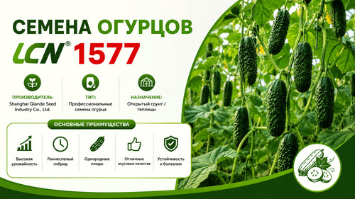 90a9f698 8865 4889 9193 2bc9bdb6d981 результат.jpg