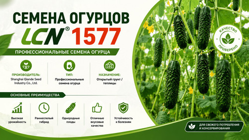 ChatGPT Image 6 мая 2026 г., 13 16 36 результат.jpg